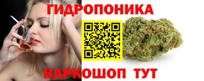 гашиш Гусев