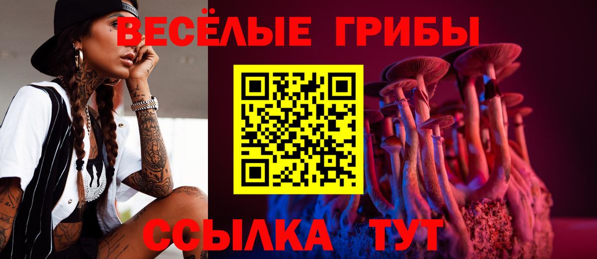 Псилоцибиновые грибы Cubensis Мурино